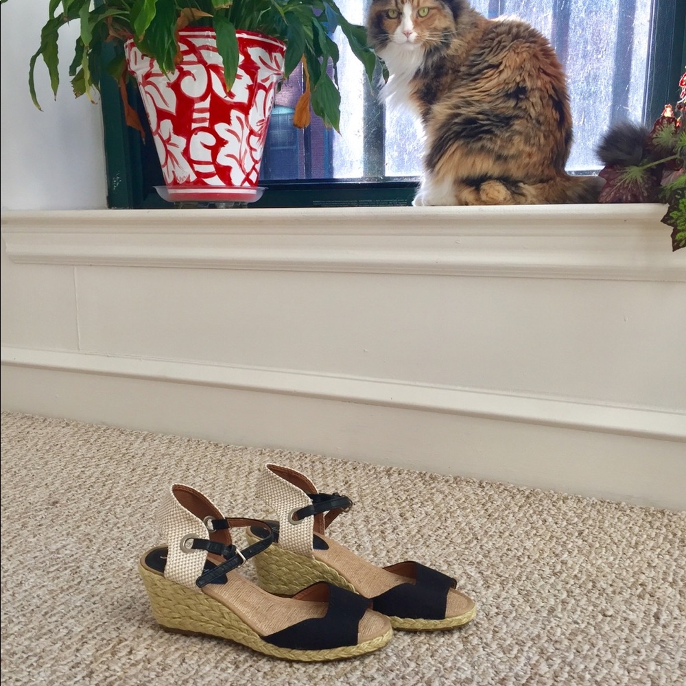 Espadrilles!! 🌻🌼🌸